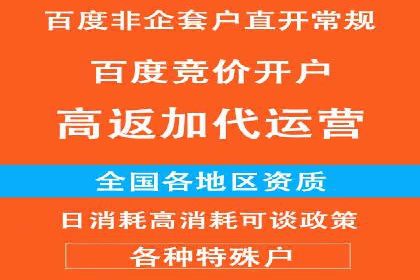 成功案例解析：SEO与SEM协同营销策略